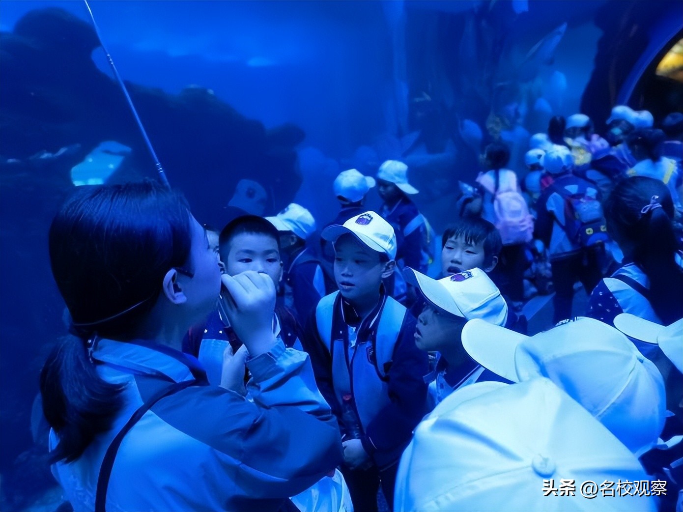 蔚蓝做苍穹，鱼儿变繁星！新川学子，走进浩海立方，探秘无限海洋