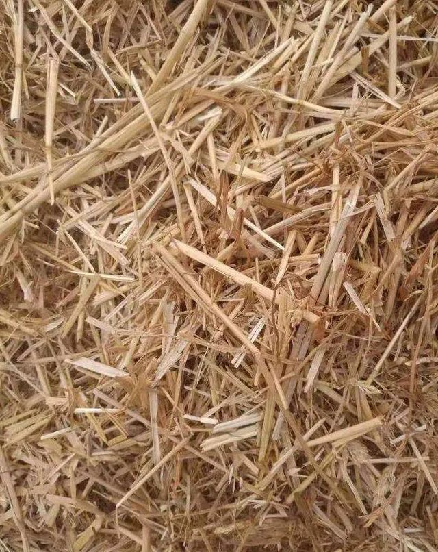 丰富多彩的欧泊,每一块欧泊演绎着完美的传说