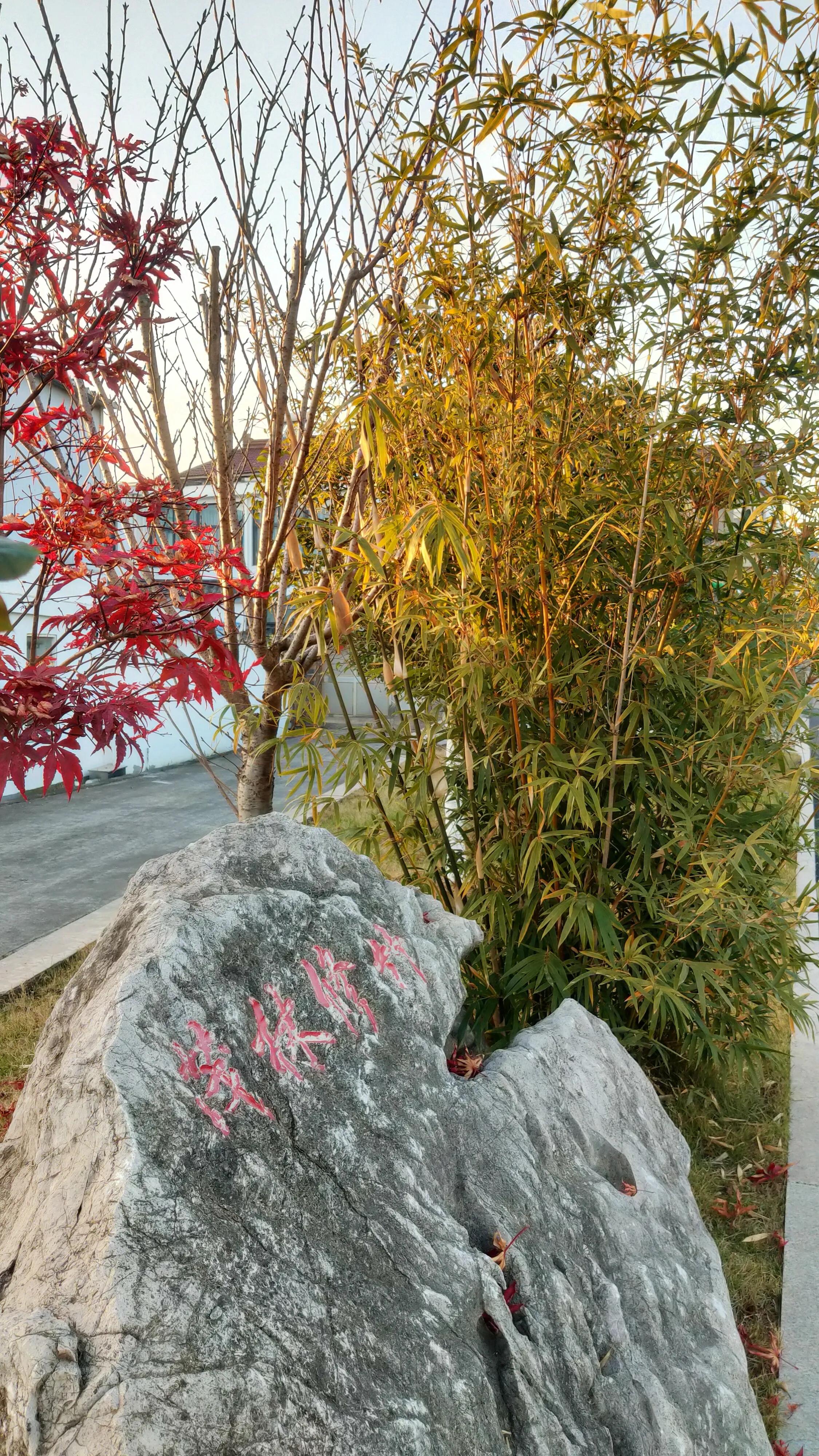 会稽山的秘密,山阴秘密