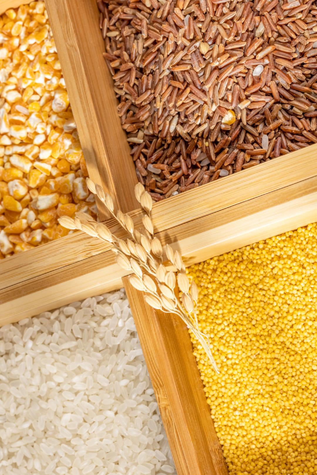 桂花香馅裹核桃,桂花香馅裹核桃江米如珠井水淘