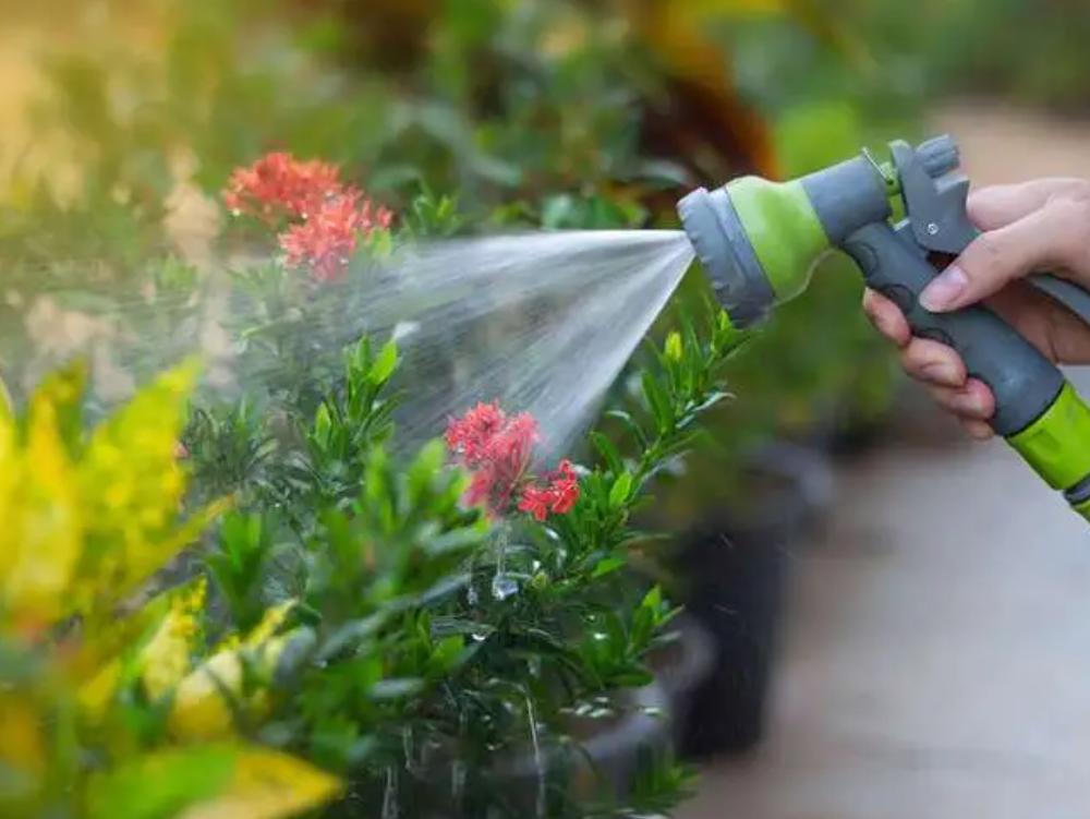 家里水表转得快找谁处理,水表转太快有没有妙招啊