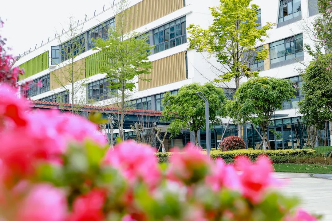 金苹果锦城一中，创办世界一流中学，做好受益终身的教育