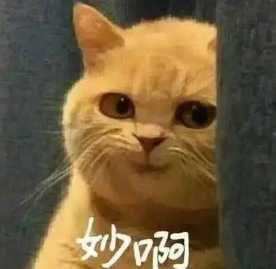 国家公务员面试考情分析,公务员面试组织管理题思路