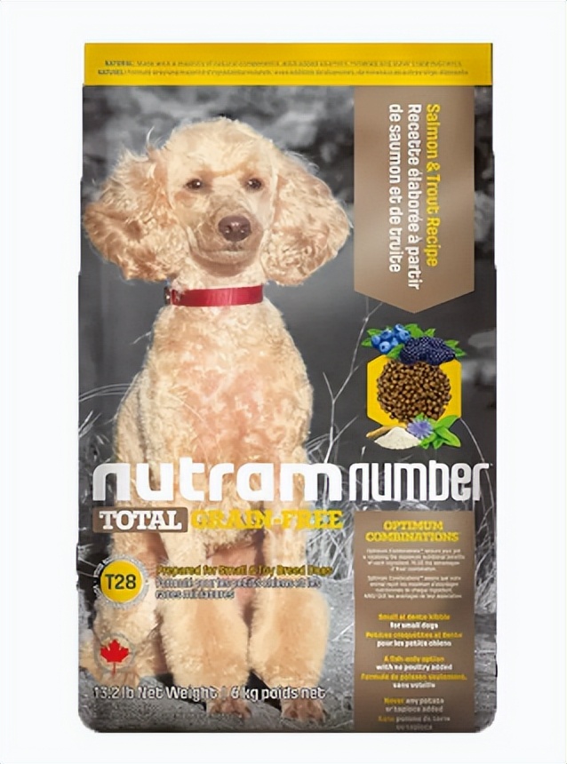 狗狗夏季适合吃什么牌子的狗粮,泰迪毛发光泽的狗粮