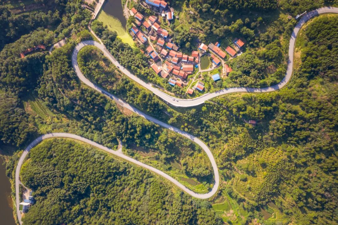 武汉园林城市,武汉生态园林城市