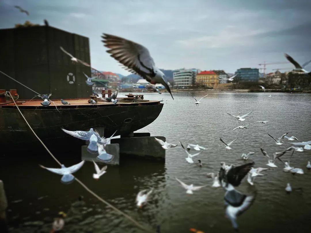 24小时玩转大连,24小时玩转哈尔滨