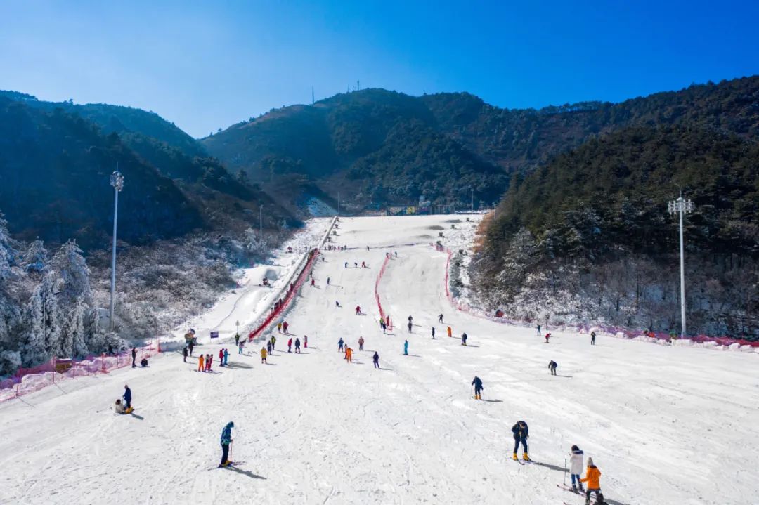 到咸宁看国宝过大年,离家45年的国宝回湖北咸宁过年