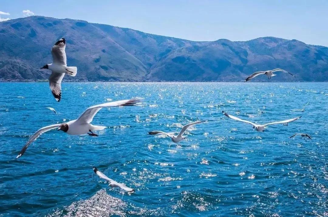 为什么不建议盲目来大理定居,大理真的值得居住么