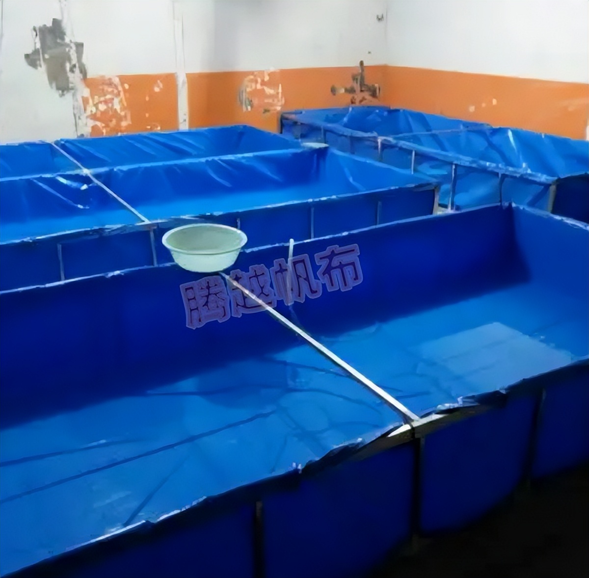 泥鳅的养殖技术和建池,泥鳅的养殖方法和技术与应用