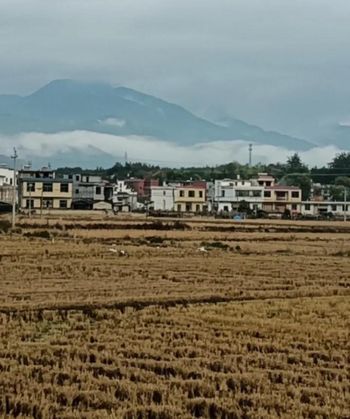 为什么偏远地区的房价这么便宜,为何越穷的地方物价越高