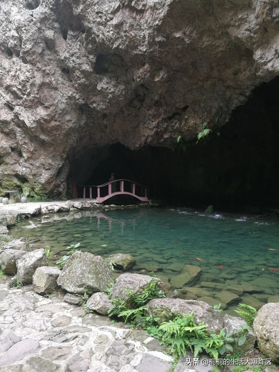 温州山水景点,温州有山有水的旅游景点