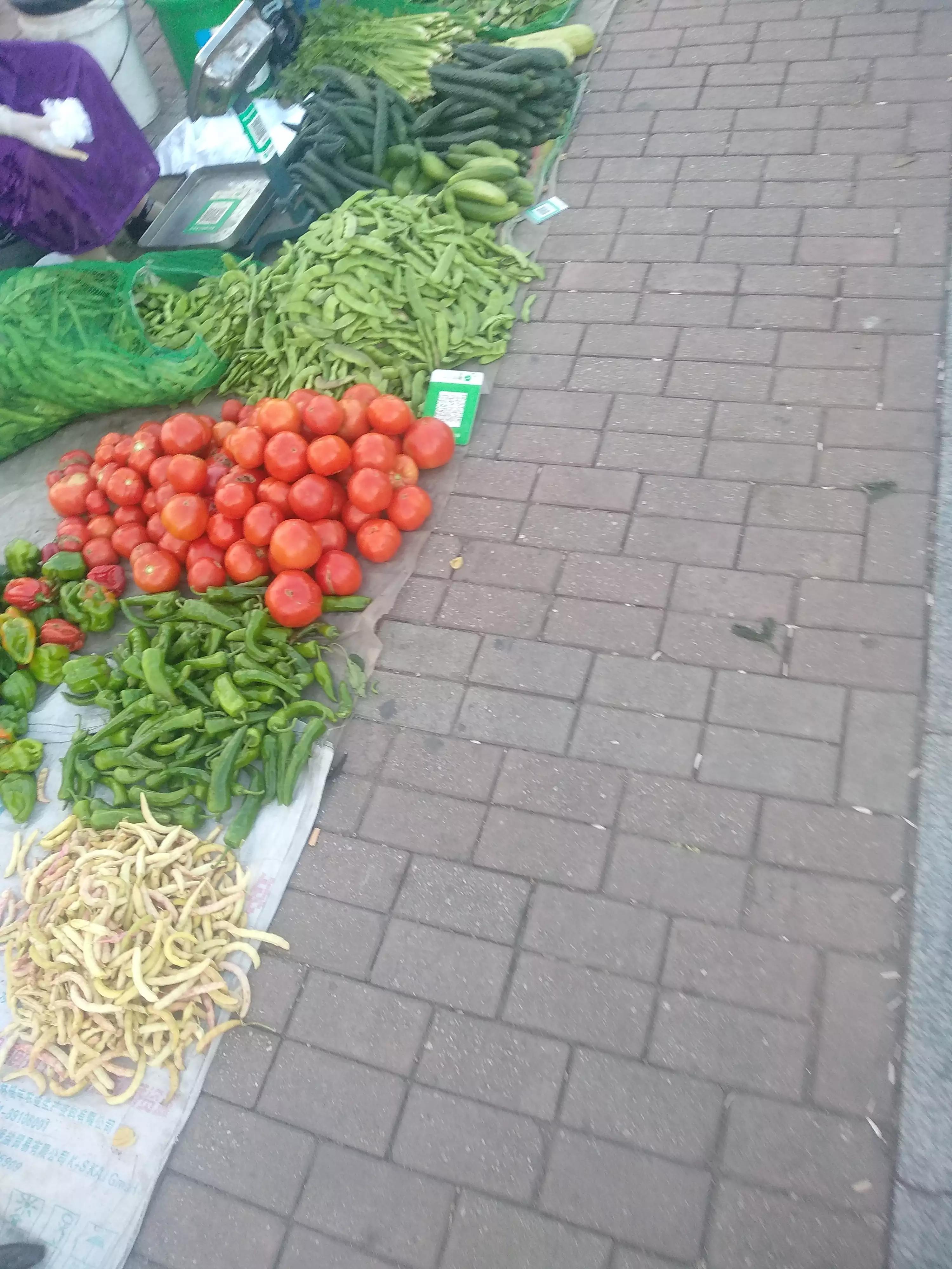 双鸭山最宜居的地方,双鸭山是中国最东北的城市