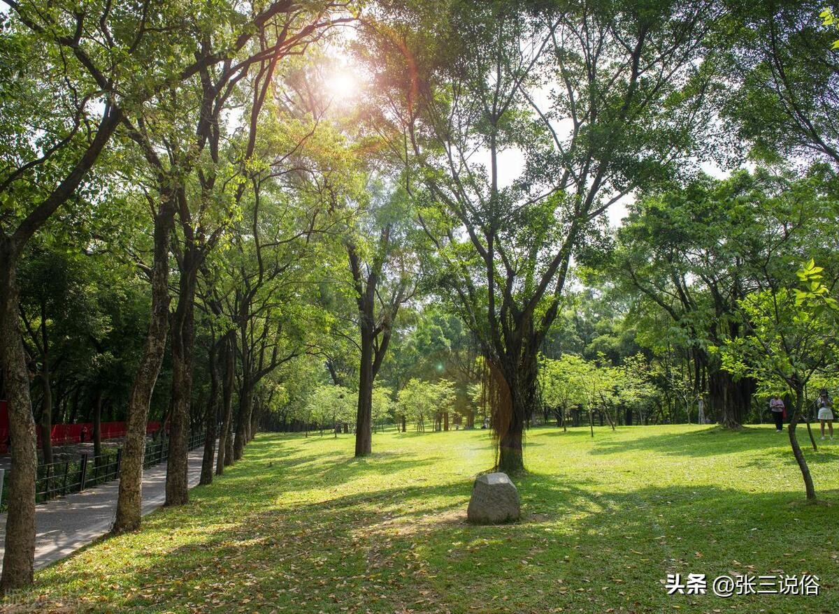 5月2日是离日和废日，老话“离日不娶亲，废日不嫁女”：啥说法