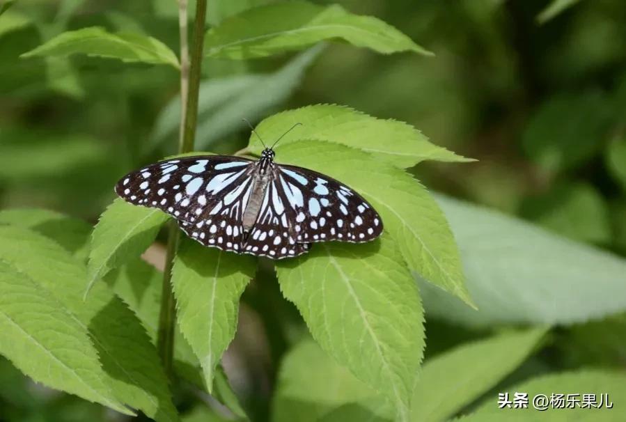 咸阳十景,陕西咸阳名胜古迹有哪些