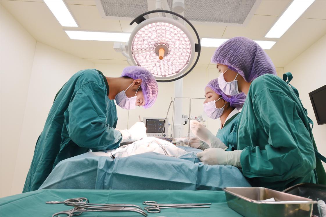 子宫脱垂对女性的危害都有哪些呢,子宫脱垂为何不能根治