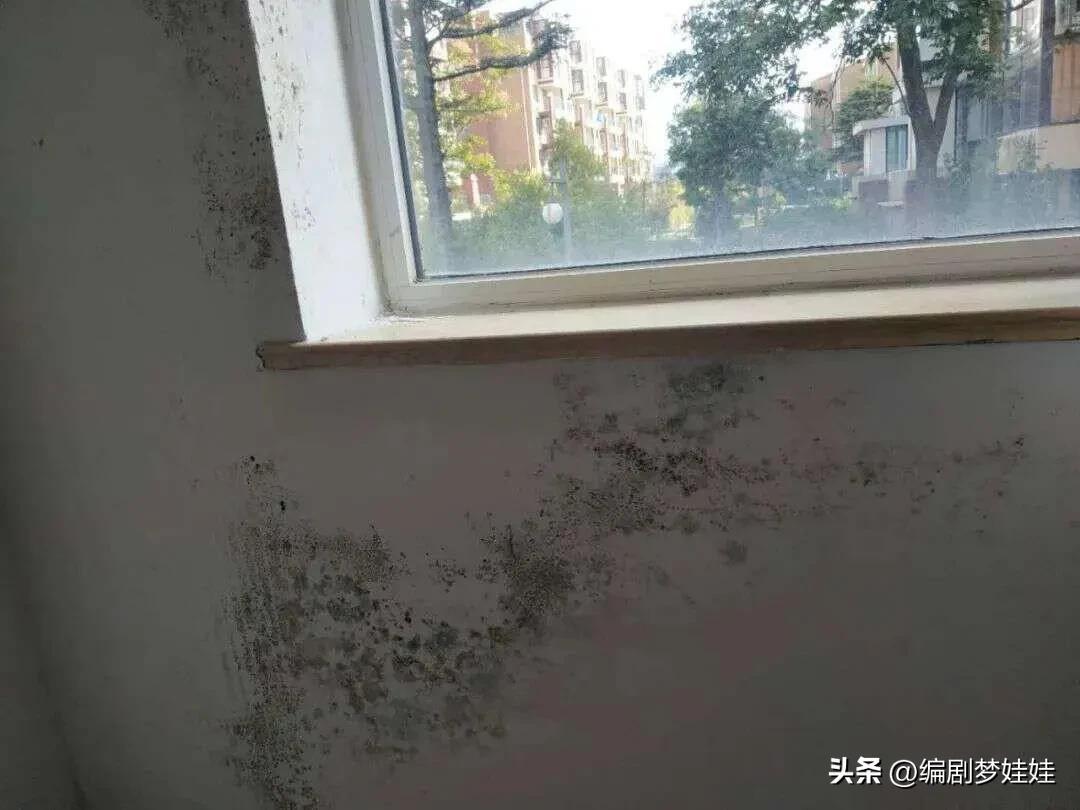 鬼城海景房5万一套,低价海景房鬼城