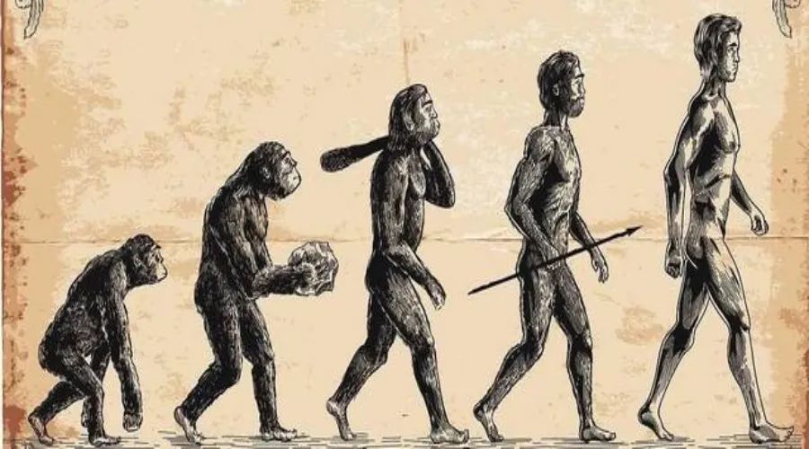 坦然的谈，科学的了解，笑着低头看皮质的真假