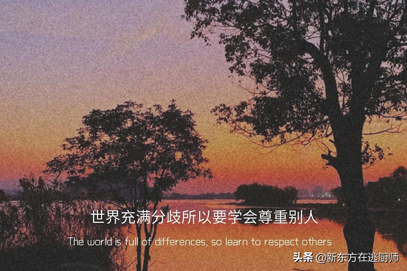 很小众却很惊艳的个性签名简短,收藏了很久的小众个性签名