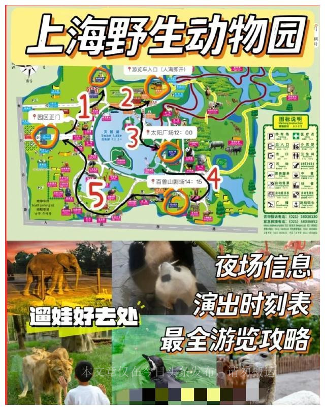 上海野生动物园游玩攻略，附加免票政策