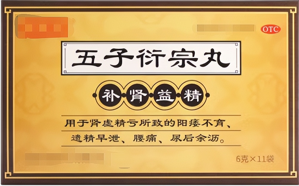 精不足则食少,肾气虚弱精气不固吃什么中药