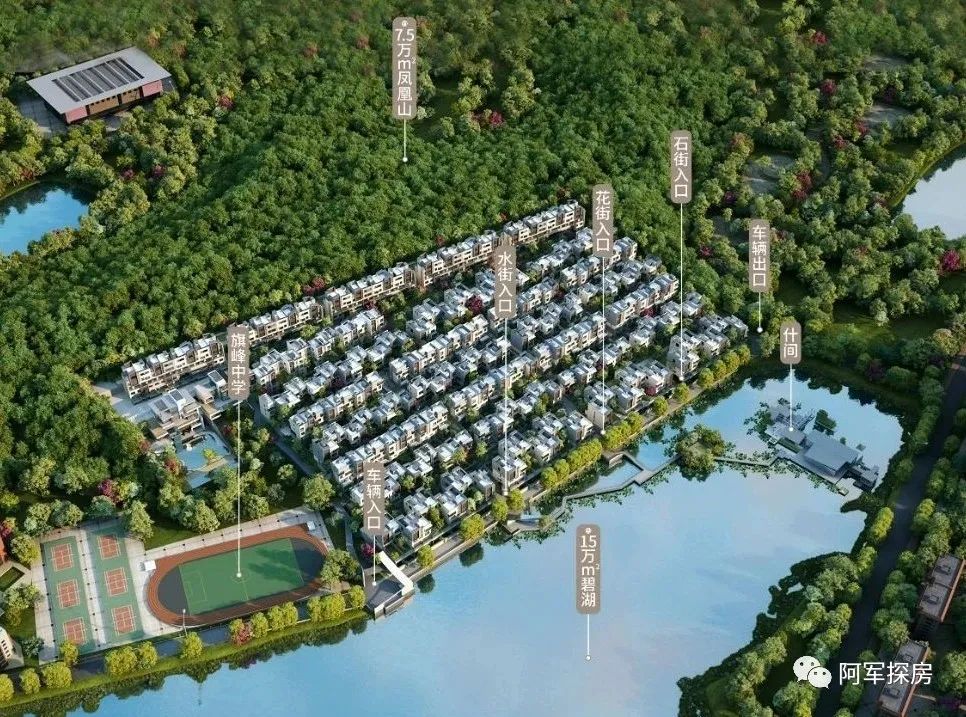 金沙洲低总价新楼盘,金沙洲力迅榕叠墅