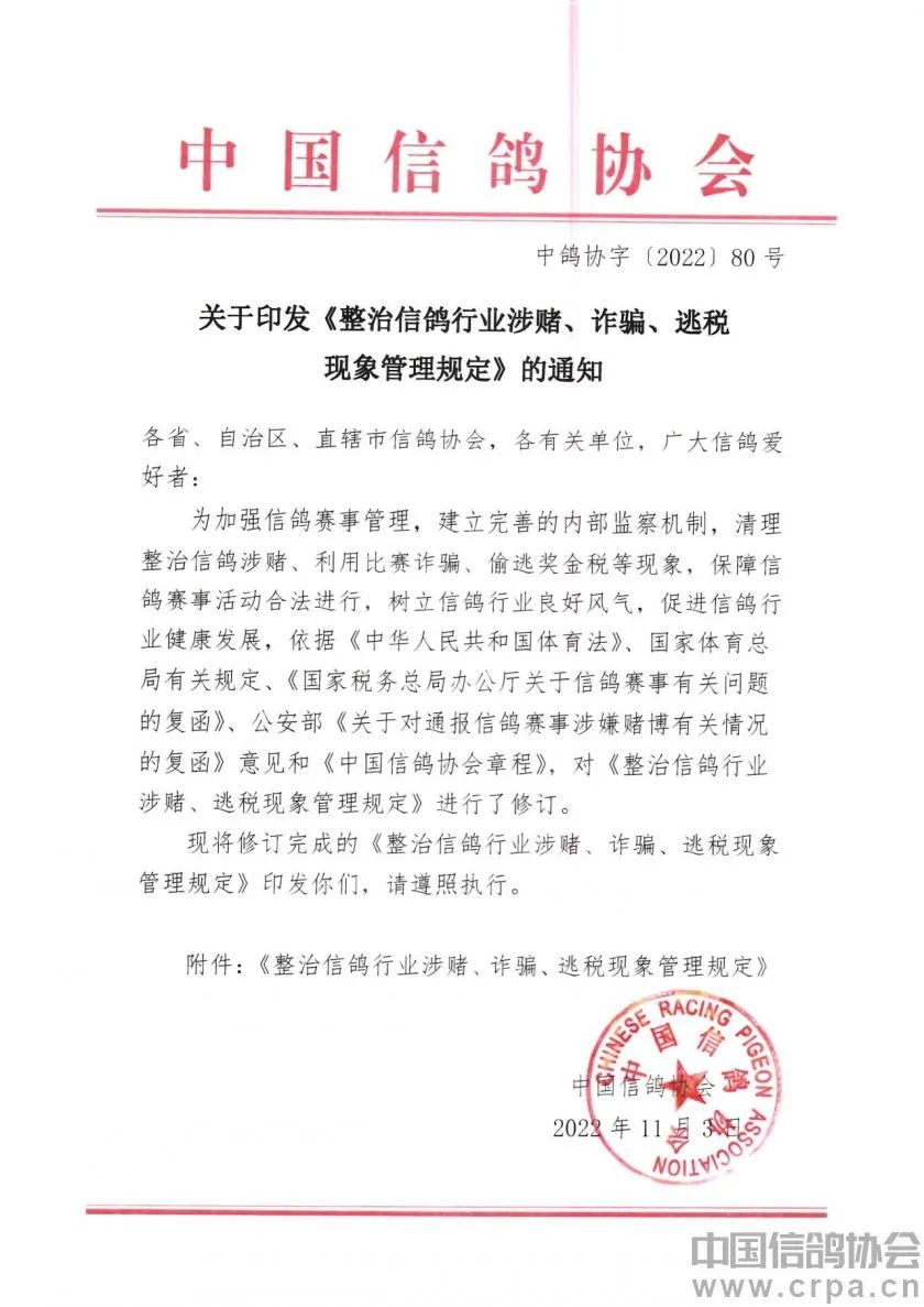 跟赛鸽比赛相比，世界杯*球赌**只能算小场面？