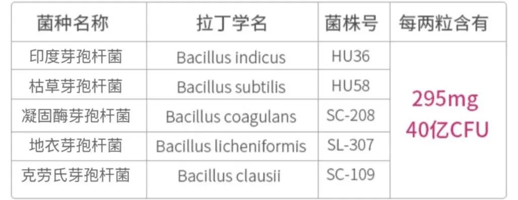 芽孢杆菌被你忽视的益生菌之王,芽孢杆菌抑制有害菌
