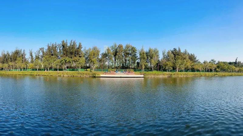 大沙河游泳视频,大沙河玩皮划艇