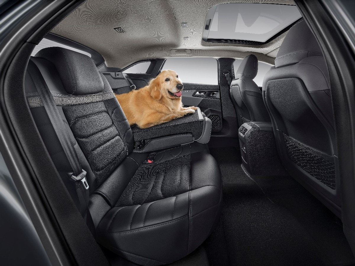 雪铁龙凡尔赛c5x最低首付多少落地,雪铁龙凡尔赛c5x首付多少钱