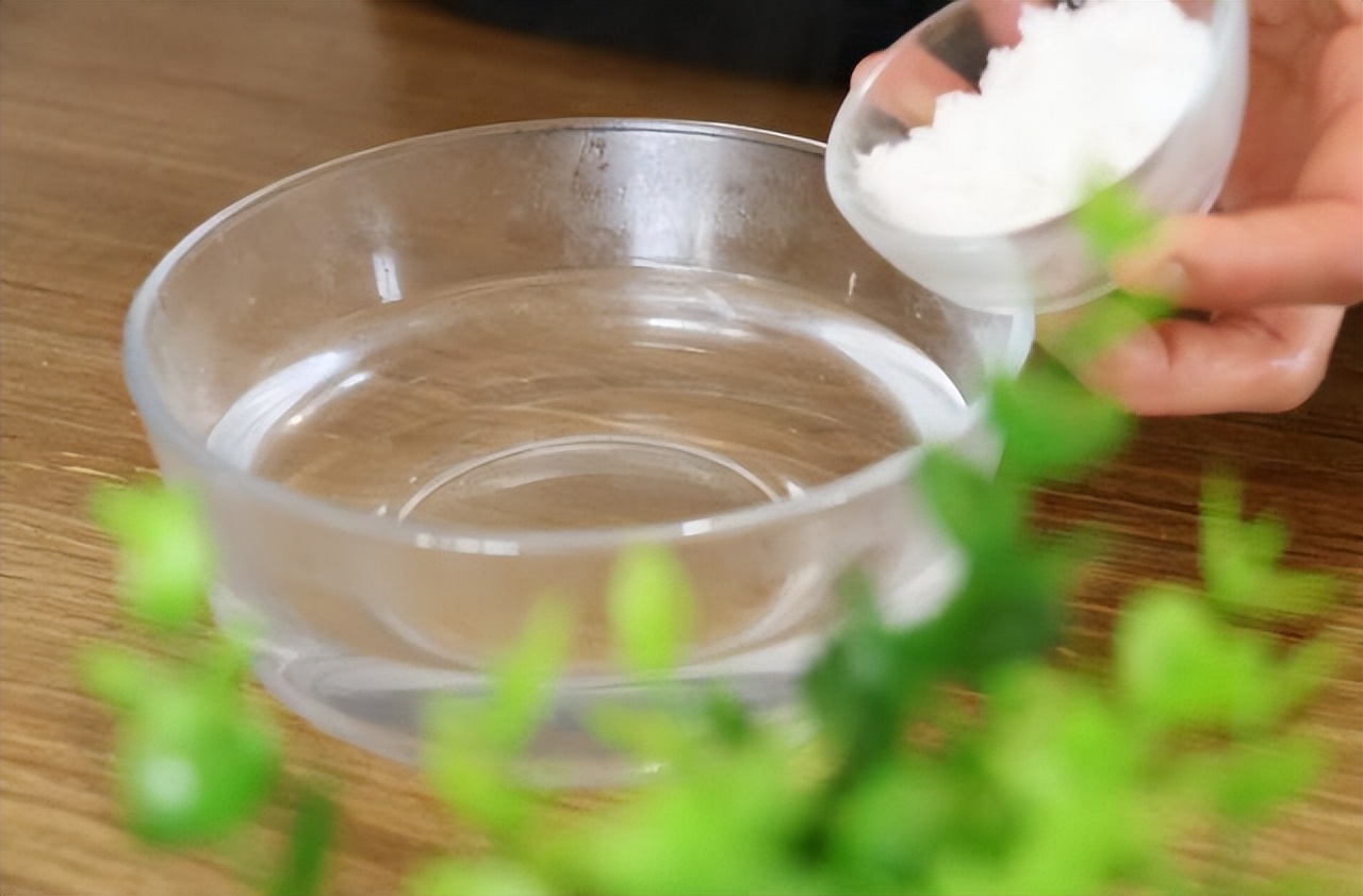 一般做菜是先热锅还是先放油,做菜是冷锅放油还是热锅放油