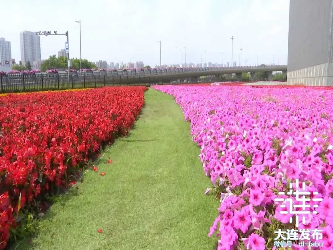 大连独一无二的花园,大连最新的花园