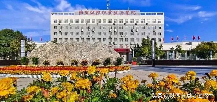 单招陕西财经职业技术学院,陕西财经职业技术学院单招条件