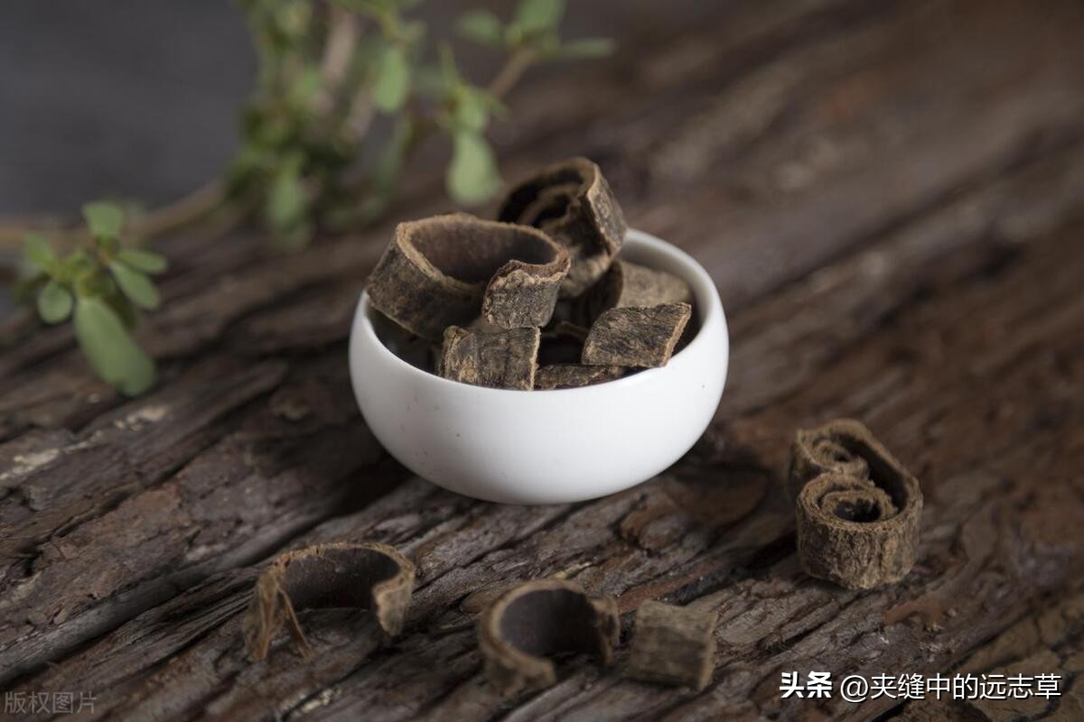 咳嗽有白痰也有黄痰中医,干咳痰少黄痰是风寒还是风热