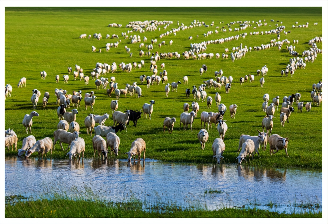 周崇光介绍,周崇光图文