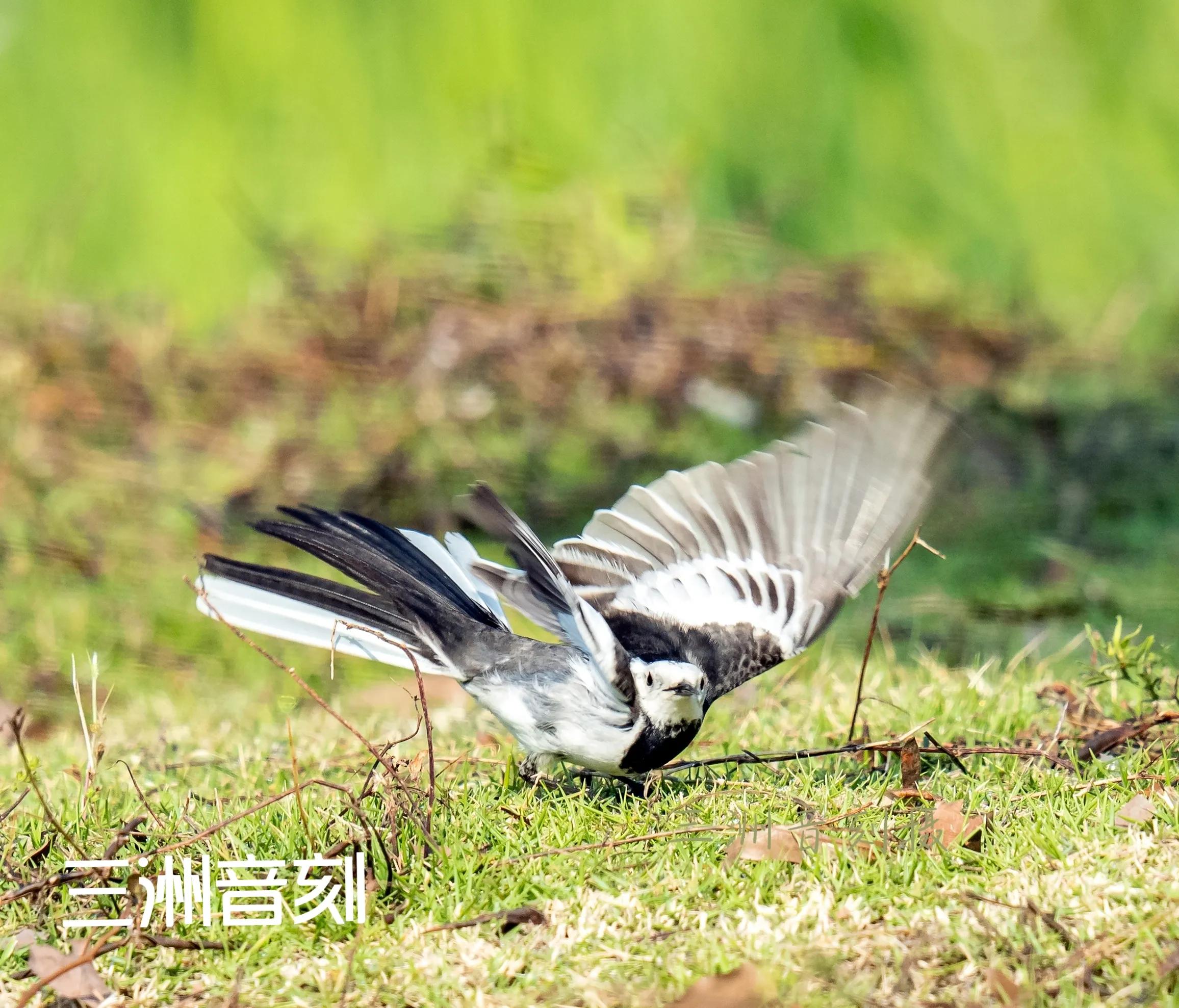 上海国际汽车城安亭,上海市嘉定区安亭国际汽车城