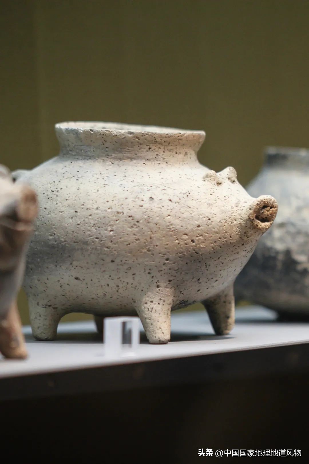 全国各地吃猪图鉴,哪个地方吃的猪最多