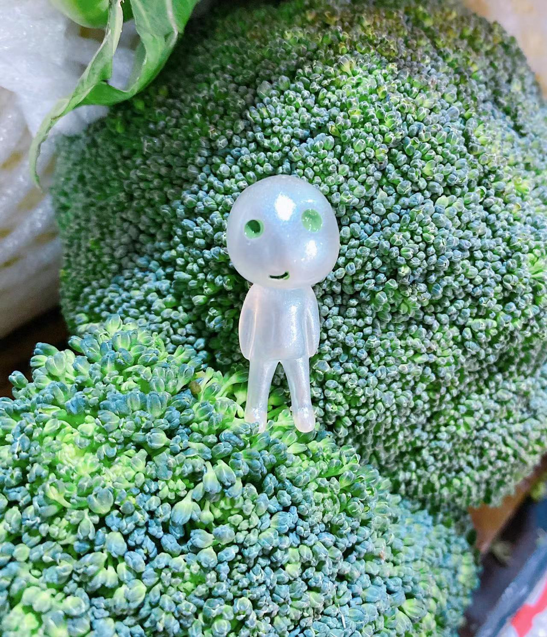 五一小长假最后一天，逛广元最大的超市，看看蔬菜区都有什么吗？