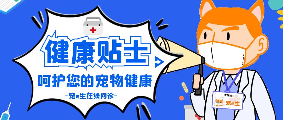 宠物知识：让人头疼的犬猫尿道问题，犬猫尿道的治疗与预防指南