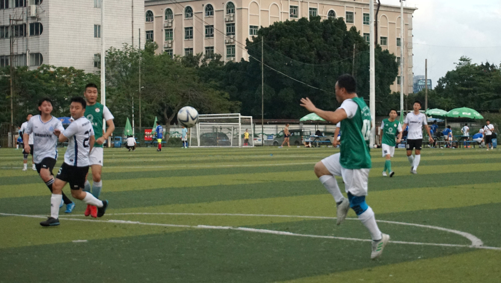 西南财大vs金强,苍狼vs老虎