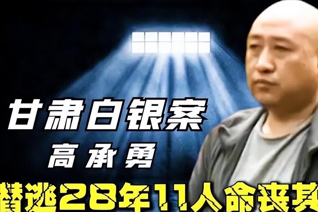 白银案纪实,案件解说白银案