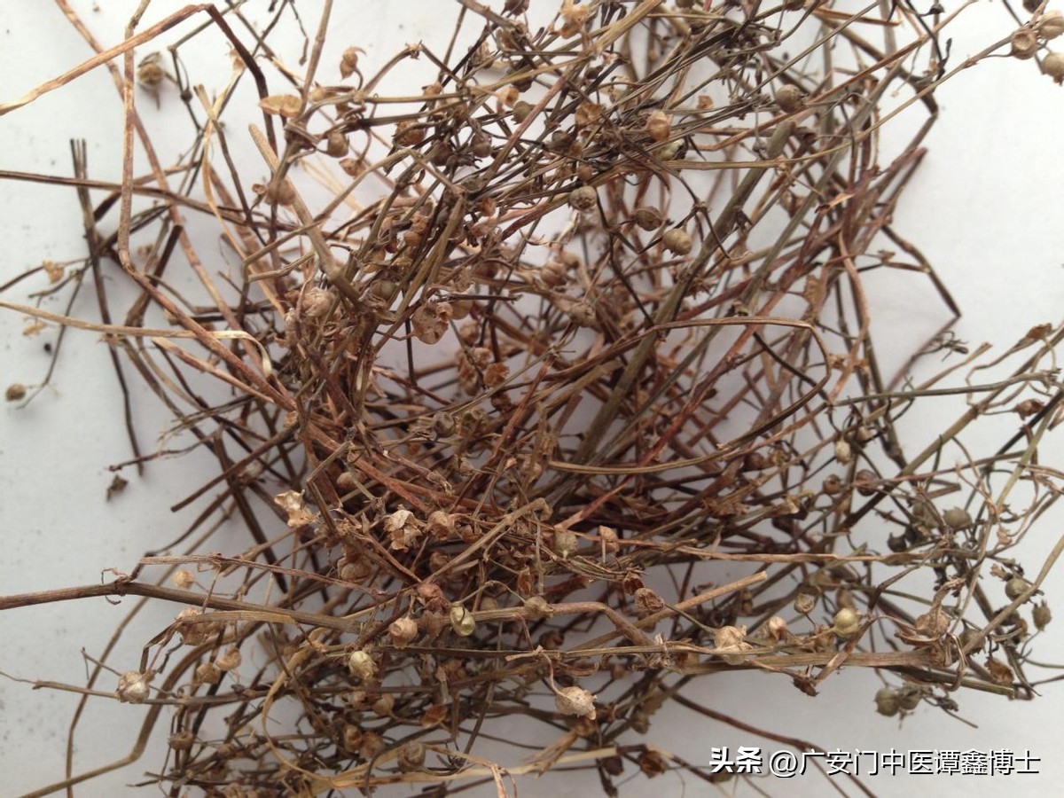 治疗前列腺癌的经方,中医治前列腺癌名医