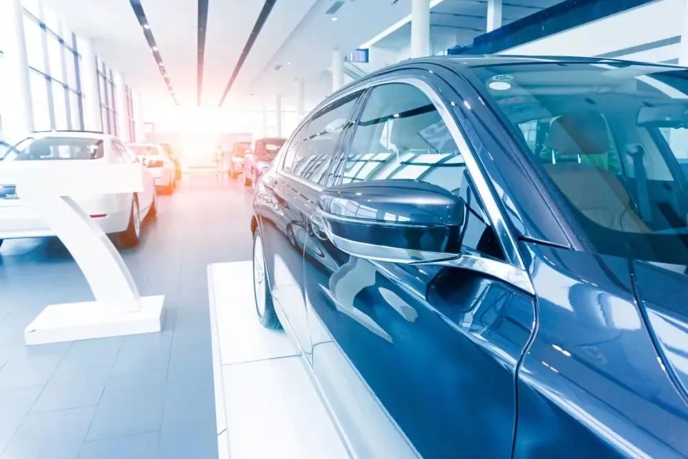 养车虎猫狗,猫狗虎养车哪个前景好