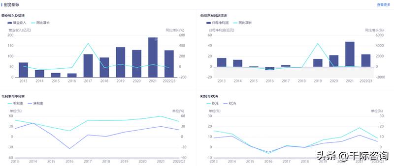 2021铁矿石行业分析,铁矿石行业调研报告