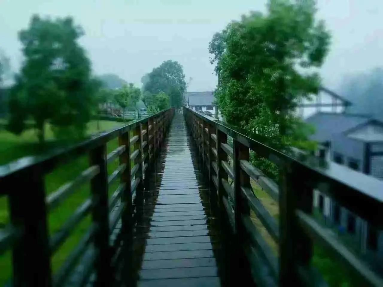 试驾车不确定自己违章,试驾不规范