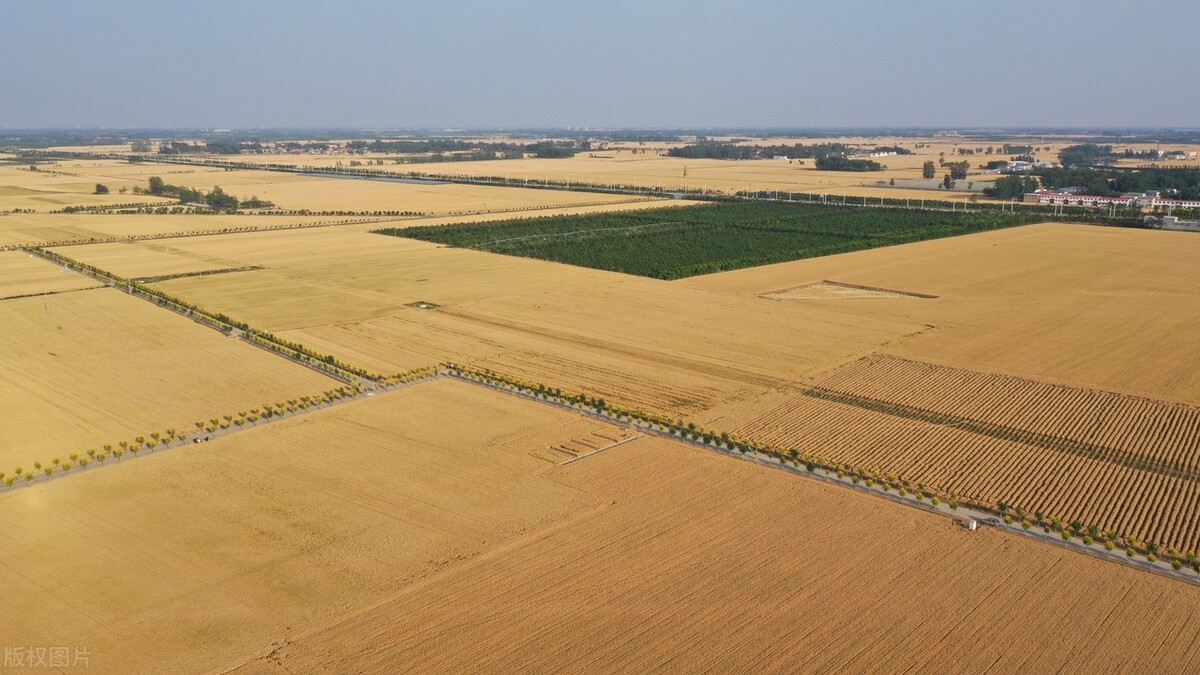耕地统一耕种成大局,农村土地统一耕种已确定