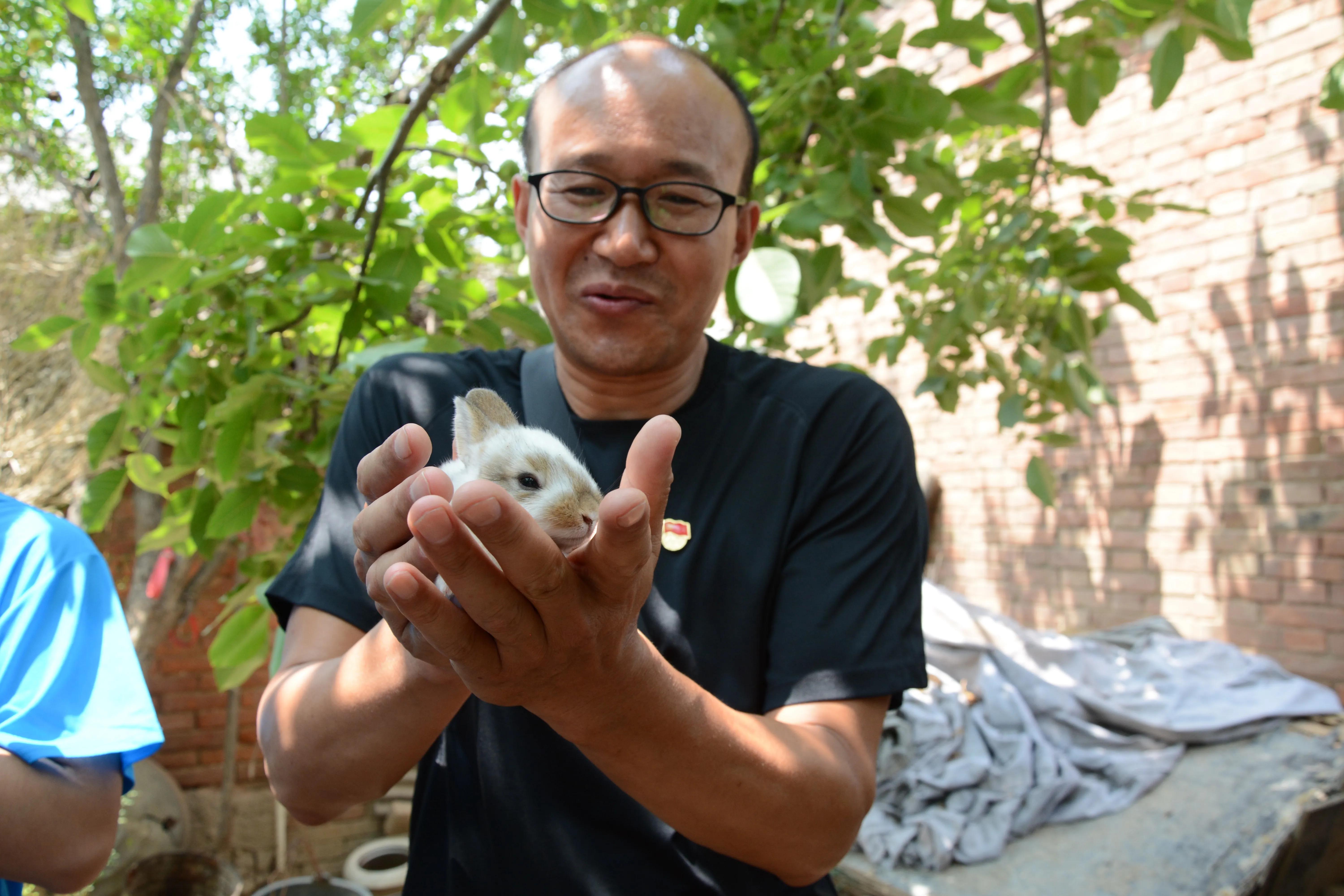医学生三下乡实践活动心得体会,暑期三下乡实践活动总结篇