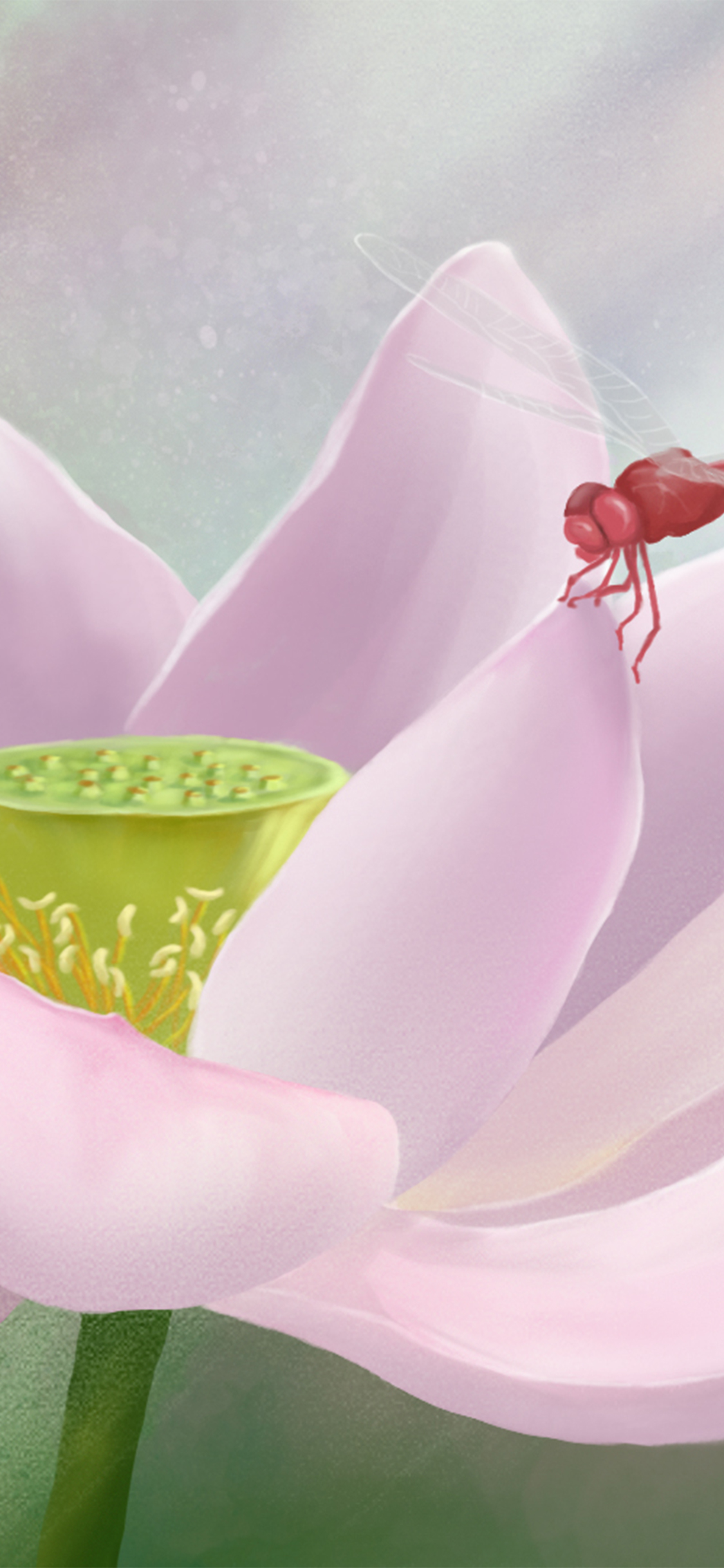 手机型号壁纸图片,169手机壁纸尺寸