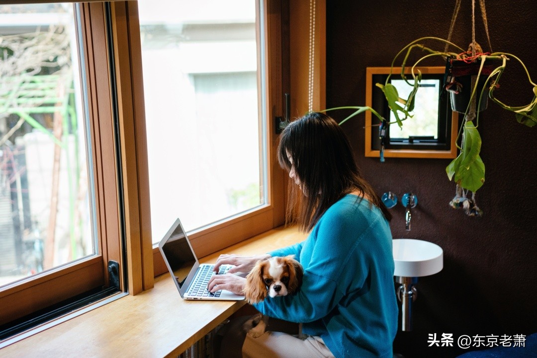 日本投资经营民宿,日本投资买房到底有多少坑