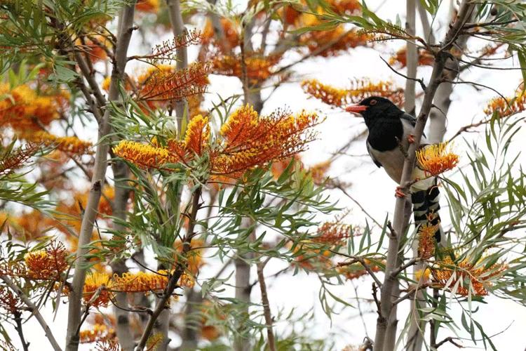 赏城中美景，品厦门味道。城市中心C位酒店，毗邻植物园、中山路