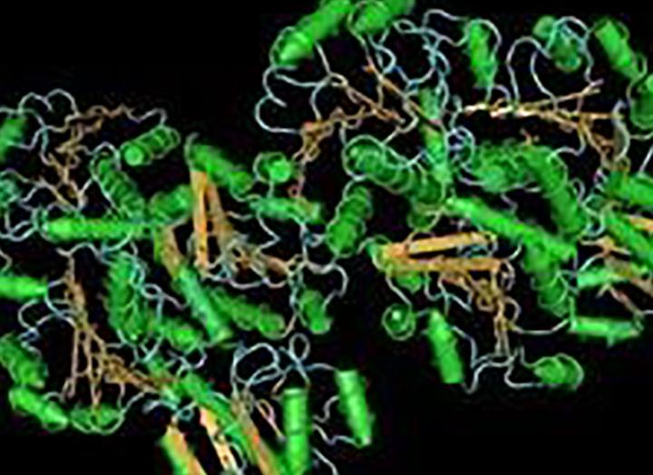 纤维素酶在农业上的应用图片,纤维素酶在膨化食品中应用